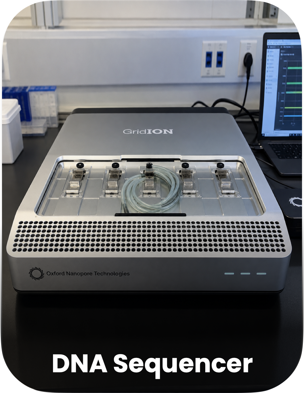 DNA Seq_Maryam
